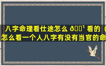 八字命理看仕途怎么 🌹 看的（怎么看一个人八字有没有当官的命）
